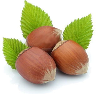 Kalite G�da